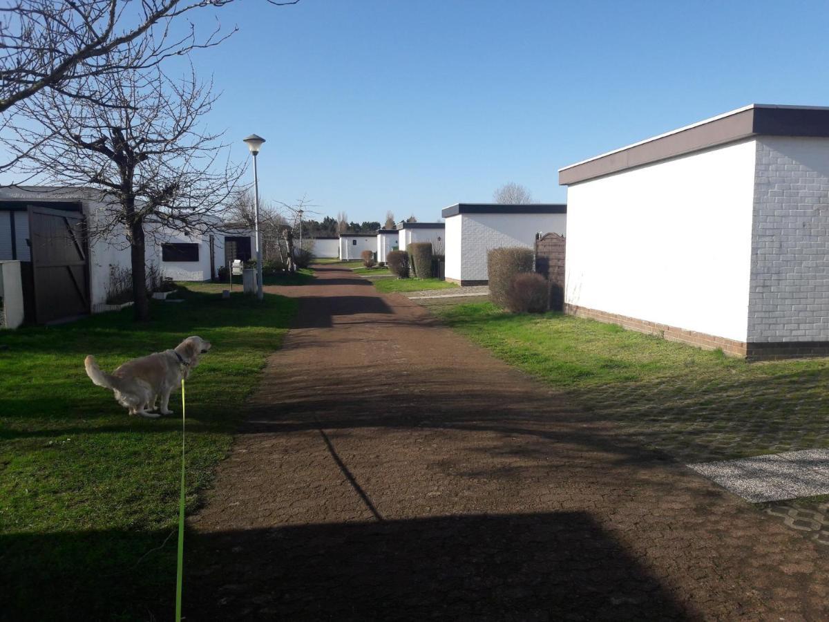 Vila Le Petit Blekker Koksijde Exteriér fotografie